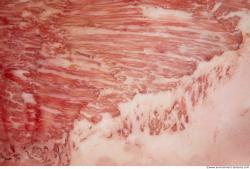 Photo Textures of RAW Pork Meat